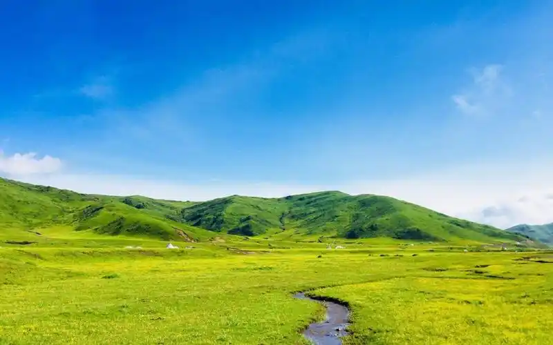 唯美护眼绿色草原风景,高清图片,电脑桌面-壁纸族