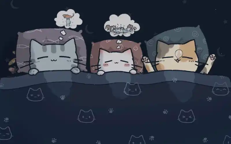 喵星人睡觉可爱动画 foxtail-grass studio - ささぶね