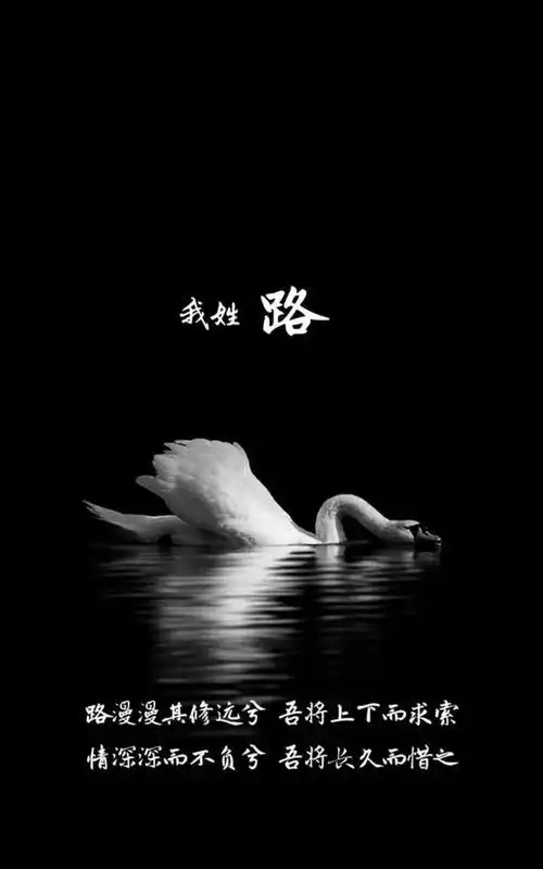我姓路,路漫漫其修远兮,唔将上下而求索,情深深而不负兮,唔将长久而