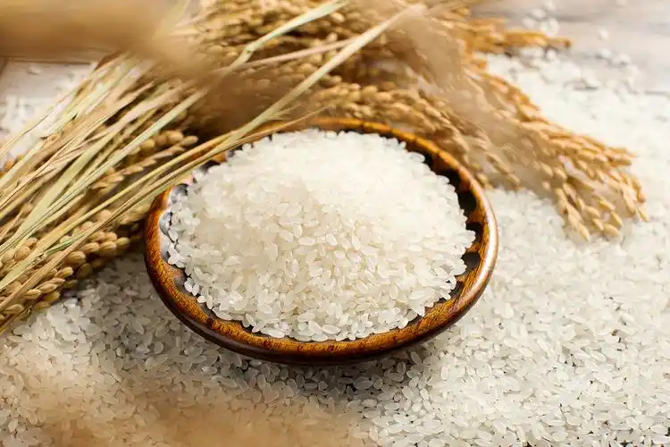 十九户五常大米生活从一碗热热的米饭撩起