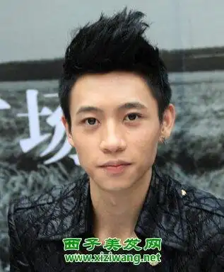 帅气学生飞机头发型图片(3)