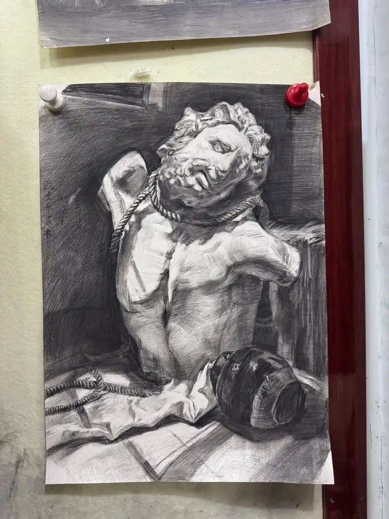 高年级素描作品.没有从天而降的收获～#美术 #画画班