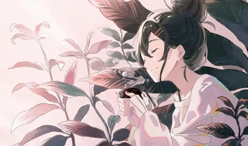 p站精选动漫电脑壁纸vol24