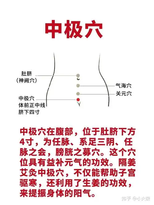 艾灸调理宫寒可以天天灸吗