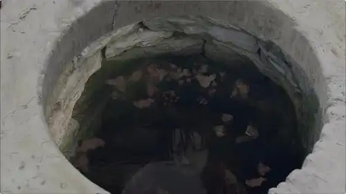 甄嬛传:细思极恐,被扔进井里的福子,真的是被华妃杀死的吗?