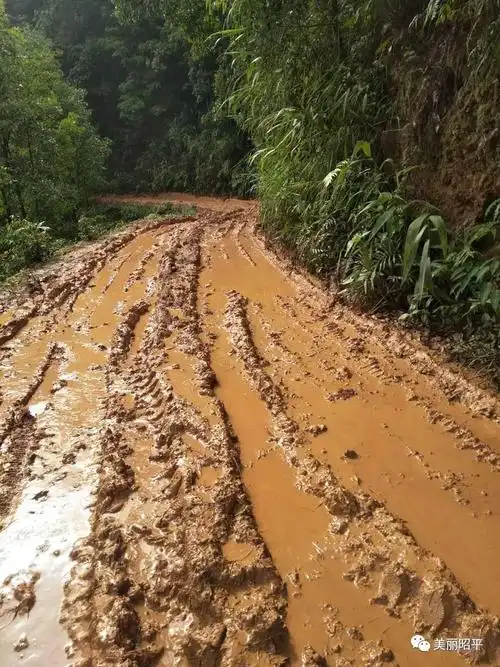 见过烂路,但没见过昭平这个村这种烂泥巴路