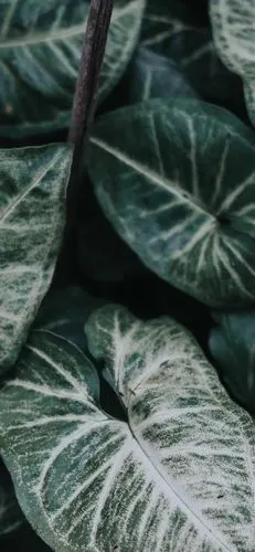 1600_3463竖版 竖屏