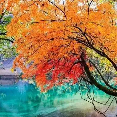 让人一看就舒心的微信风景头像 超好看的唯美景色高清头像图片 - 腾讯