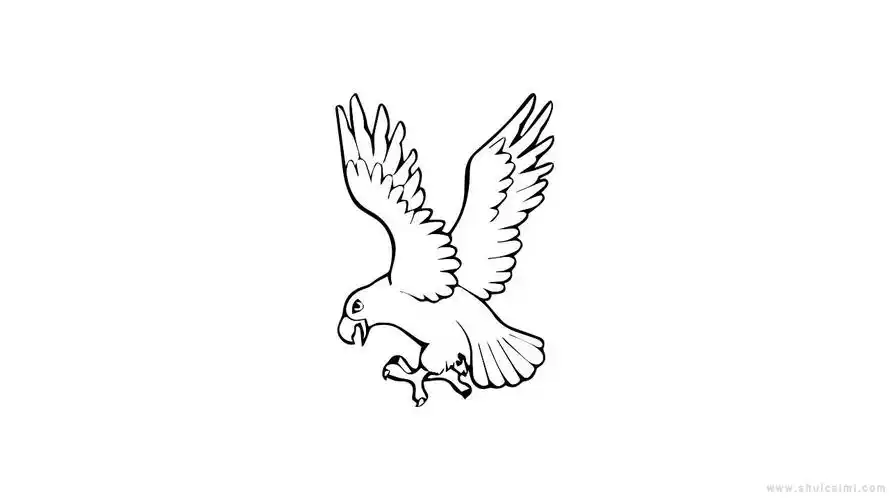 老鹰简笔画怎么画老鹰简笔画简单