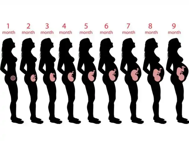 女人怀孕后身体有哪些变化肚子像气球还有这五点你也躲不掉