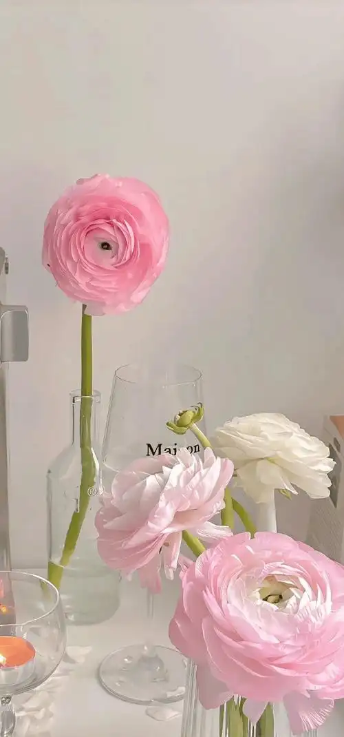 壁纸 | 4k高清ins壁纸