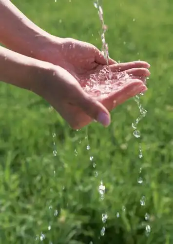 水,植物,亚洲,双手,仅一个年轻女性,仅一个女性,仅一个人,液体,水滴