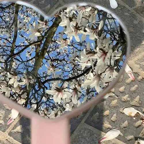 89 186269图文素材来源网络,侵权留言删除返回搜狐,查看更多