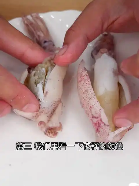 新品上架的全籽海兔第一感觉可能会给大家的感觉是好贵