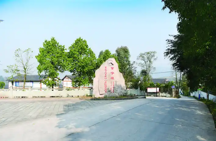 为乡村振兴插上腾飞的翅膀——甘宁镇楠桥村以产业振兴撬动乡村振兴