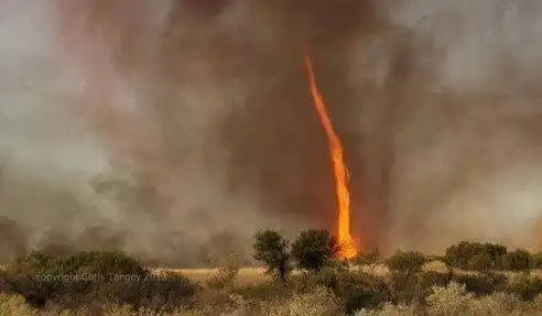 大自然的恐怖魔法:火龙卷与水龙卷!