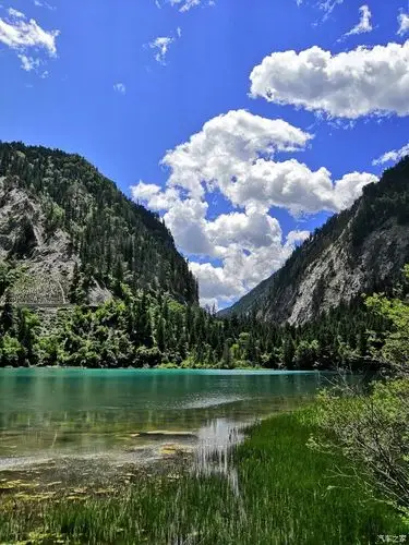 你好2021游美丽的九寨沟一