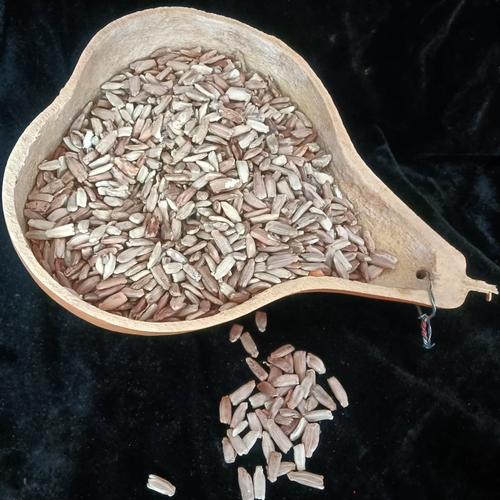 葫芦种子葫芦籽天然葫芦药用食用纯天然中药材无污染实用大量销售