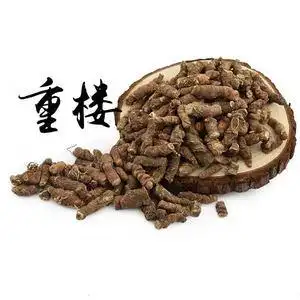 重楼七叶一枝花蚤休种植技术图片