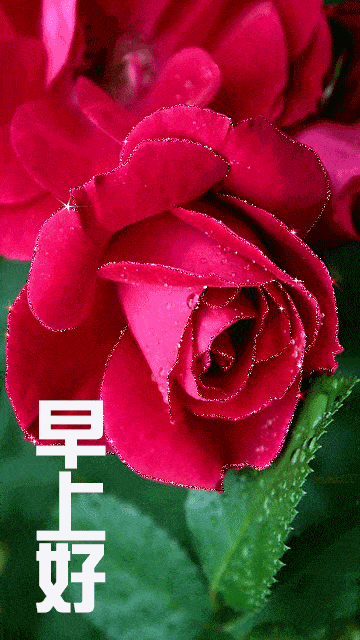 岁月都江堰祝您:早安吉祥 天天幸福!