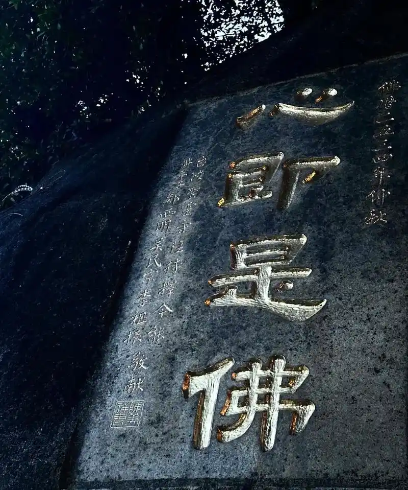 "因果有轮回"佛说:人的一生皆在渡,渡人 渡心 渡自己 眼前 - 抖音