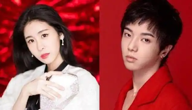 有一种谋算叫张碧晨和华晨宇孩子4岁了才明白这盘大棋