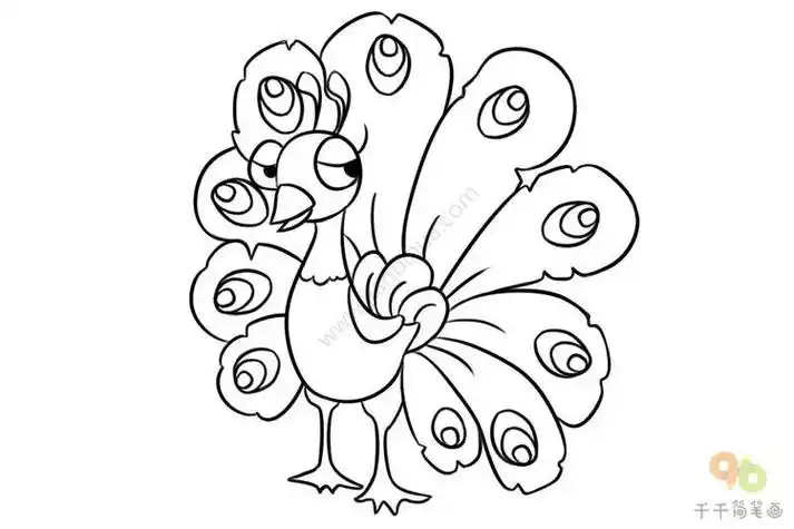 动物简笔画孔雀简笔画系列-怎样画一只美丽的孔雀孔雀儿歌和简笔画