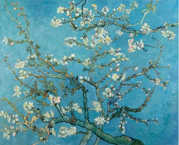 梵高赠给小侄子的是杏花图吗