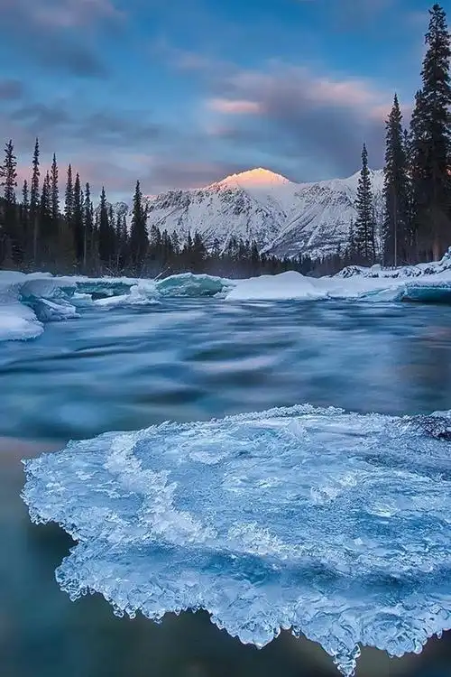 育空地区,加拿大,冰,河,树木,冬天 1920x1080 full hd 2k 高清壁纸