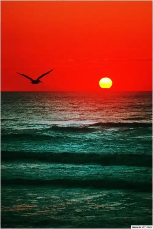 图片名称海上日出图片012