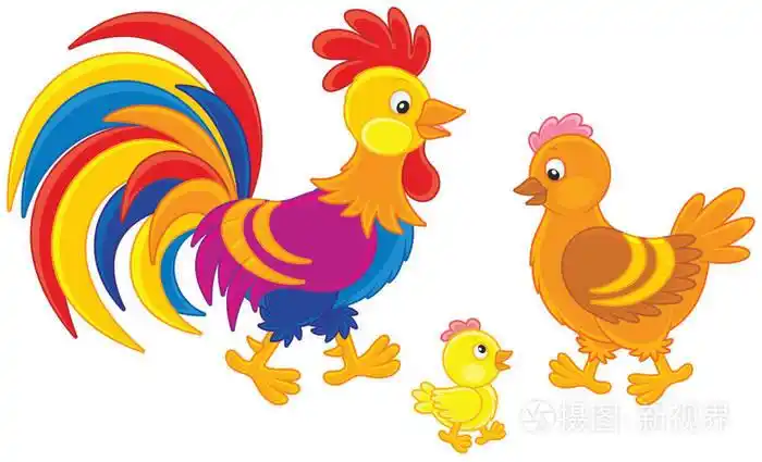 一个色彩鲜艳的公鸡, 一个可爱的母鸡和一个小妞的滑稽家庭