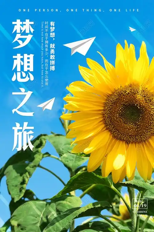 向日葵梦想之旅阳光清新海报psd