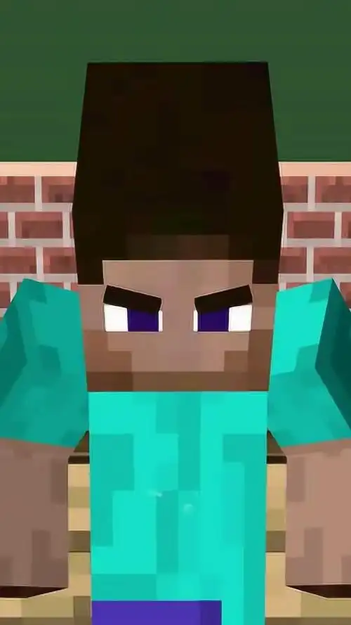 我的世界史上最帅him