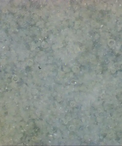 无纹汝窑佛手造型佛像倒流香薰.