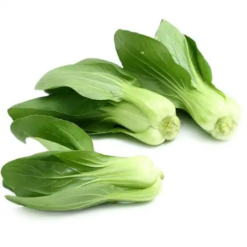 供应 有机无公害小青菜