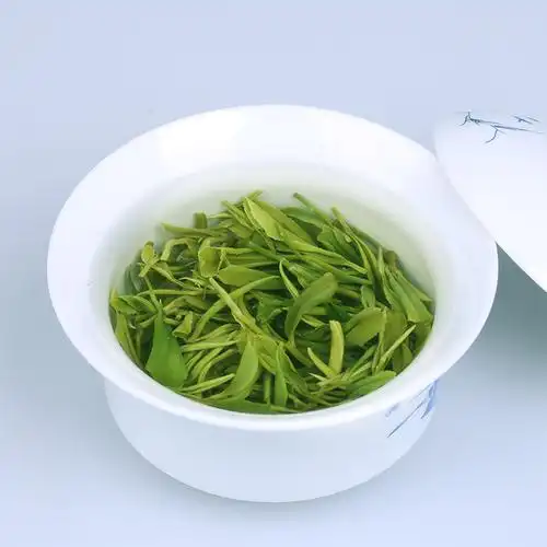 解析一杯香绿茶优缺点怎么样?口碑评测质量好吗?