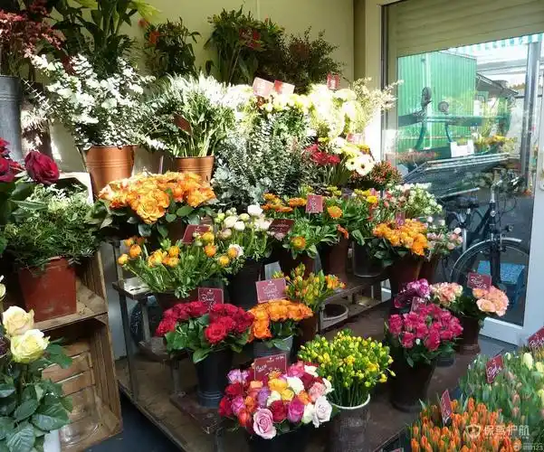 花店鲜花摆放位置风水讲究花店装修风水注意事项