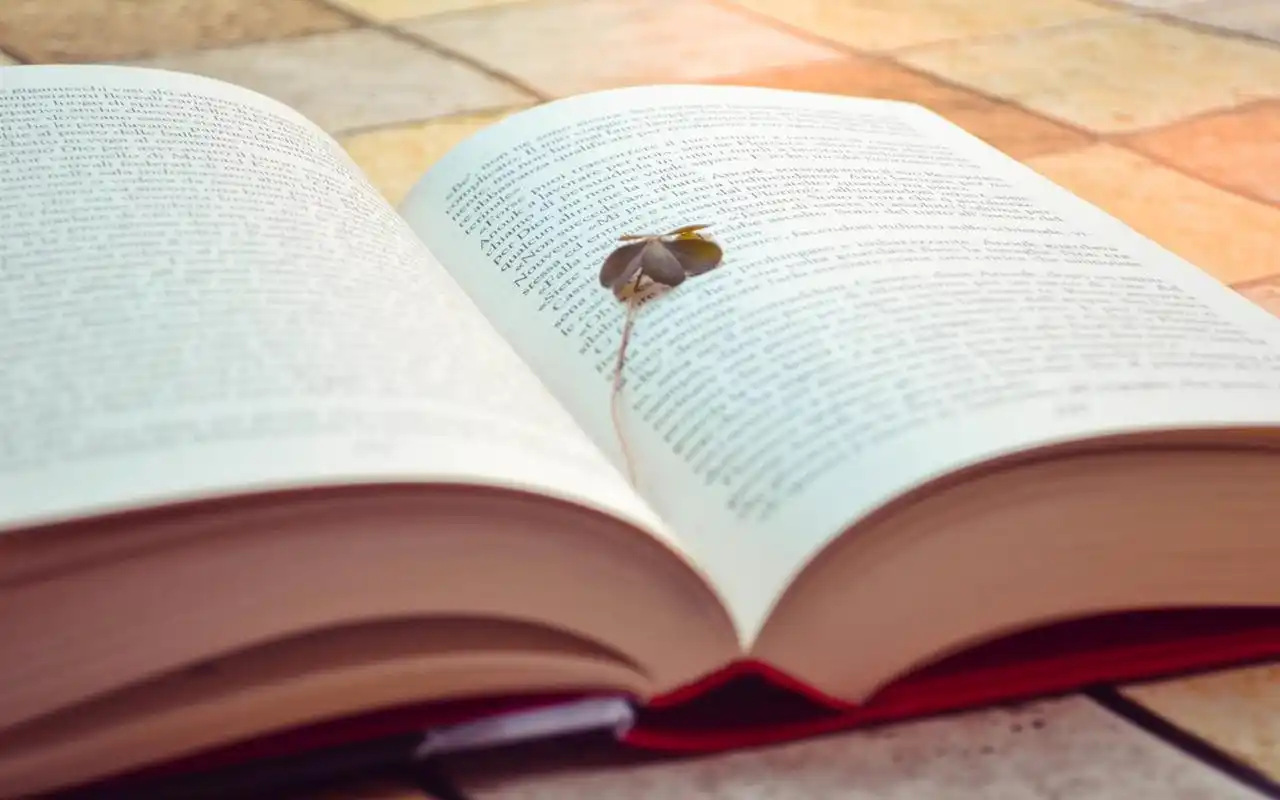 唯美又有意境的书本图片桌面壁纸第一辑