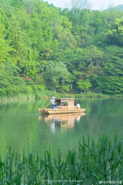 在杭州西湖拍到绿野仙踪#  在杭州西湖旁的小众景点,发现了现实暗的