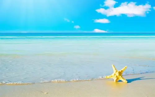 小清新清爽简洁电脑桌面壁纸高清大图预览1920x1200_风景壁纸下载_美