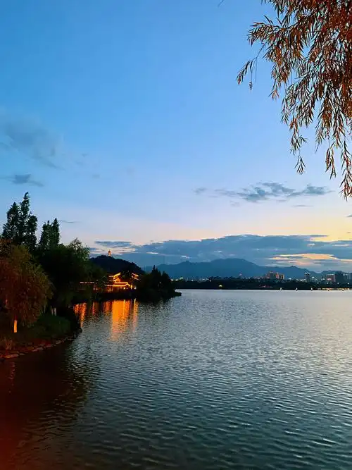 夜月一帘幽梦春风十里柔情