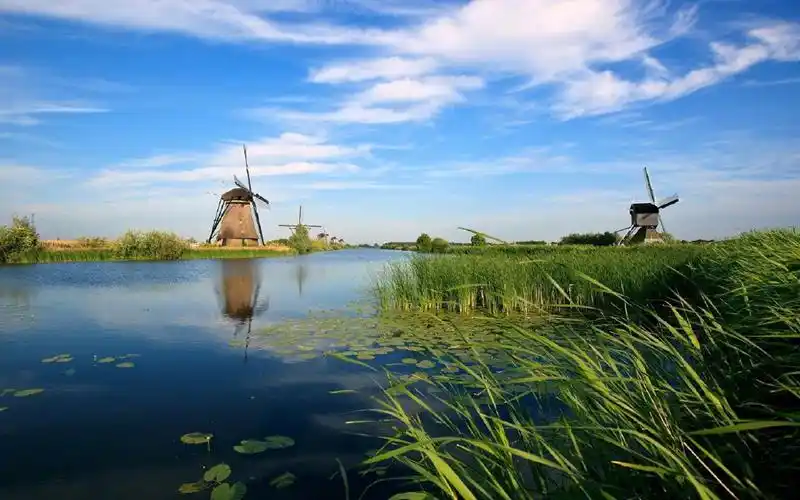 清新护眼风车美景图片桌面壁纸高清大图预览1920x1200_风景壁纸下载