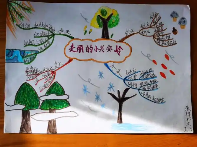 烟台开发区实验小学三年九班首次感受思维导图的神奇
