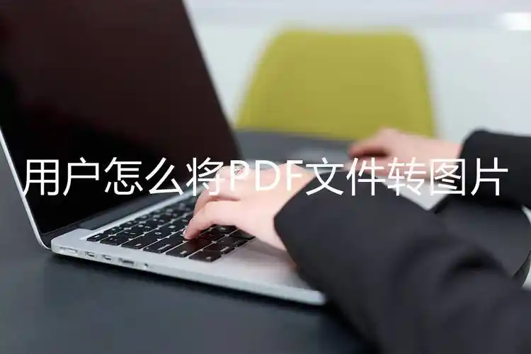 用户怎么将pdf文件转图片?_进行_软件_格式