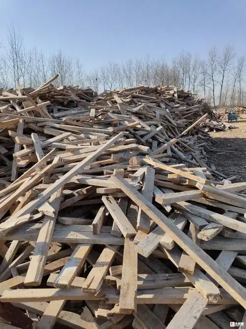 常年收购工地废旧木方,模板,杉木等