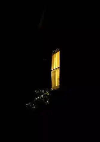 人性-狗性-狼性(深度好文) vs 凌晨三点,一个女