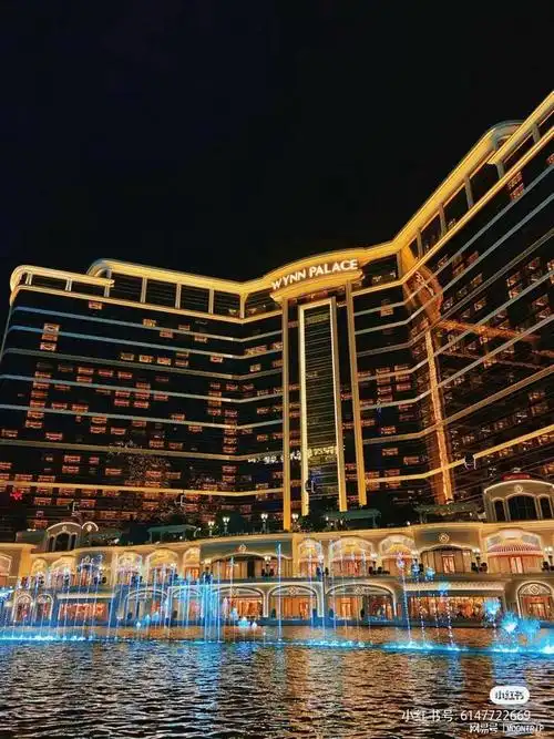 与迷人的夜景,加上音乐喷泉表演,是一场极致的浪漫体验～永利皇宫在这