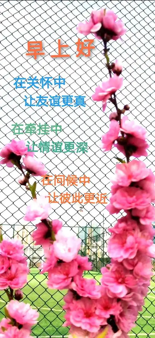 「我来教教大家」珍惜同学情谊的句子(中国)百度百科