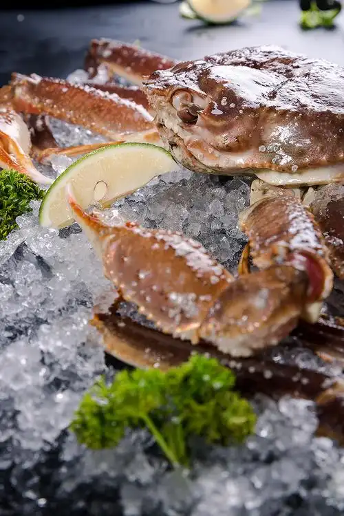 海鲜静物拍摄 - 原创作品 - 站酷(zcool)