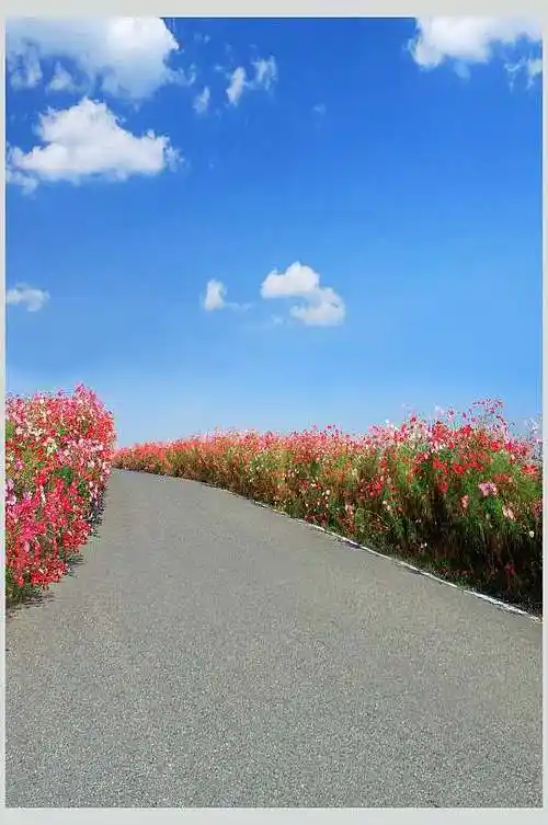 马路场景背景图片